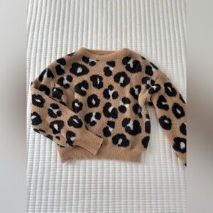 Express Cheetah Sweater